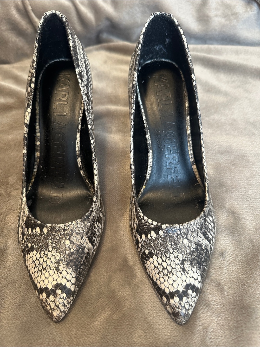 Karl Lagerfeld Snake-Print Pointed Pumps in Black and White
